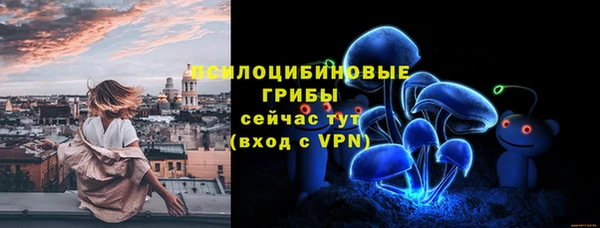 гидра Балахна